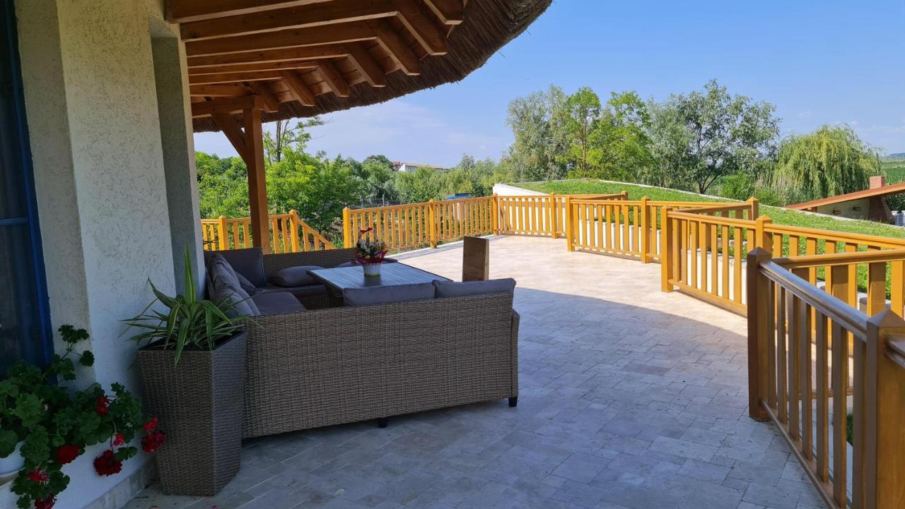 Pensiunea Nest Dunavatu de Jos Exterior photo